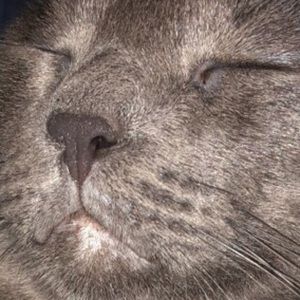 Meet your Posher, Victoria